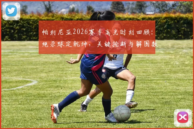 帕利尼亚2026赛季高光时刻回顾：绝杀球定乾坤，关键抢断与解围数据全面解析