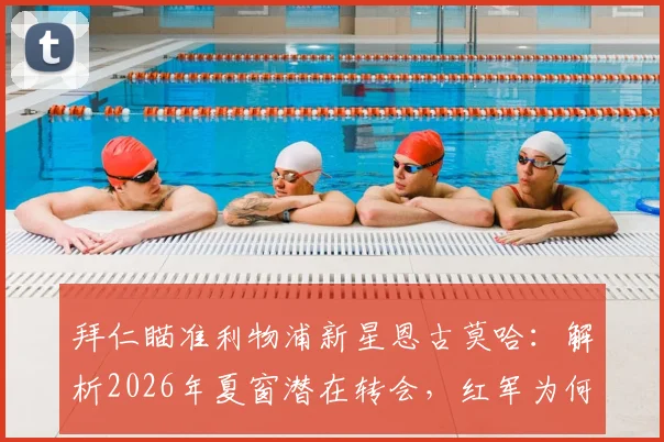 拜仁瞄准利物浦新星恩古莫哈：解析2026年夏窗潜在转会，红军为何视其为非卖品