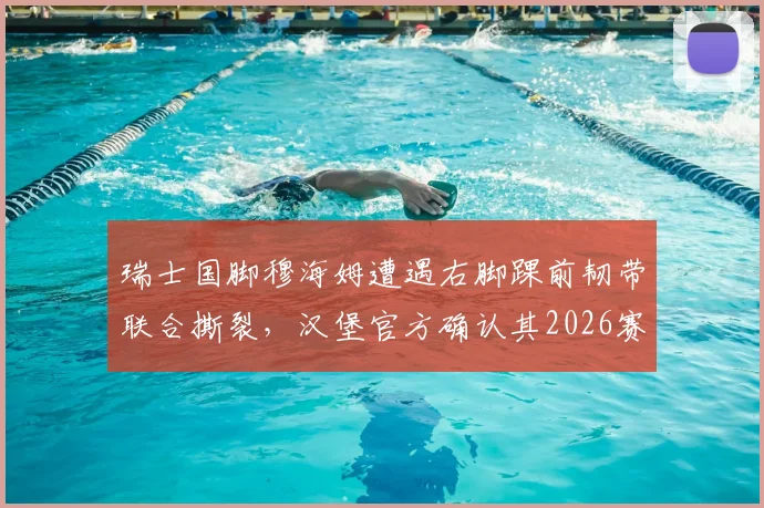 瑞士国脚穆海姆遭遇右脚踝前韧带联合撕裂，汉堡官方确认其2026赛季报销，伤情解析与球队影响全览