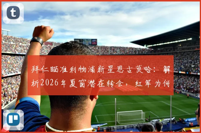 拜仁瞄准利物浦新星恩古莫哈：解析2026年夏窗潜在转会，红军为何视其为非卖品